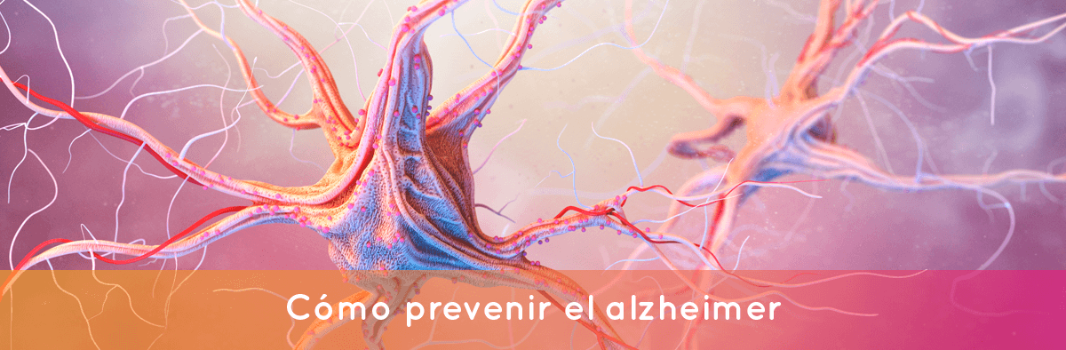 como prevenir el alzheimer