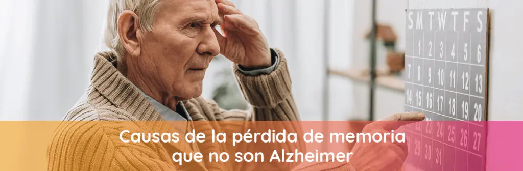 perdida memoria en alzheimer
